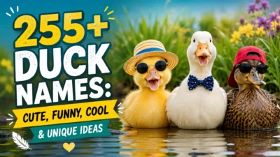 Cute cartoon ducks in a colorful pond scene with playful typography for “255+ Duck Names: Cute, Funny, Cool & Unique Ideas.”