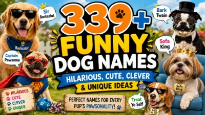 A colorful dog-themed banner featuring four funny dogs in costumes, playful props, paw prints, and bold text for 339+ hilarious, cute, clever, and unique dog names.