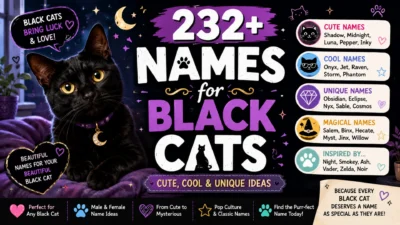 232+ names for black cats featuring a sleek black cat with golden eyes and cute, cool, unique, and magical name ideas